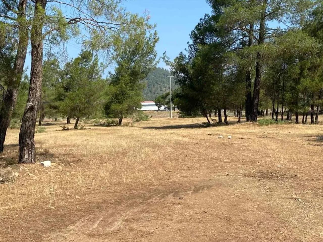 Muğla,Asparan Caddesi - 1