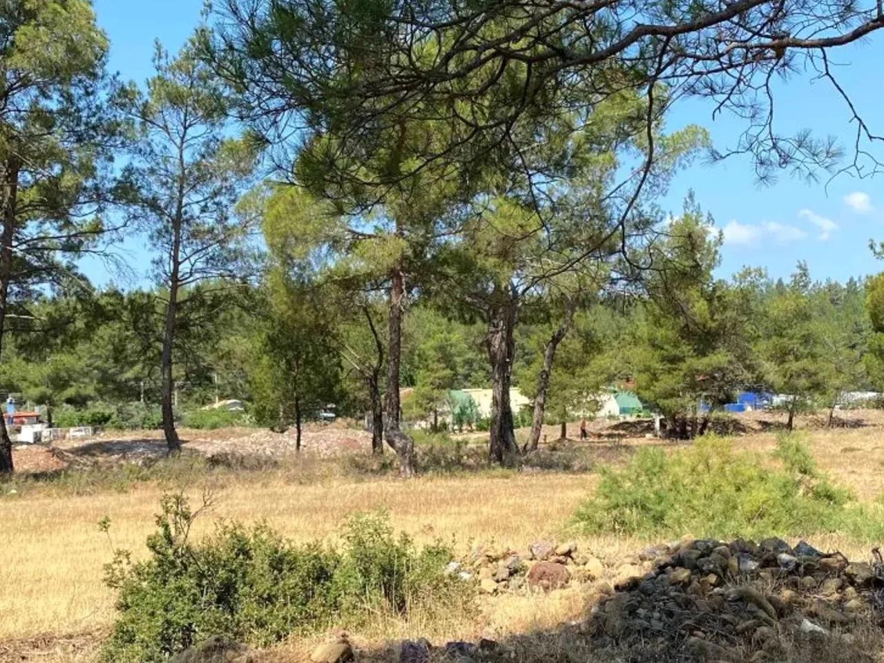 Muğla,Asparan Caddesi - 2