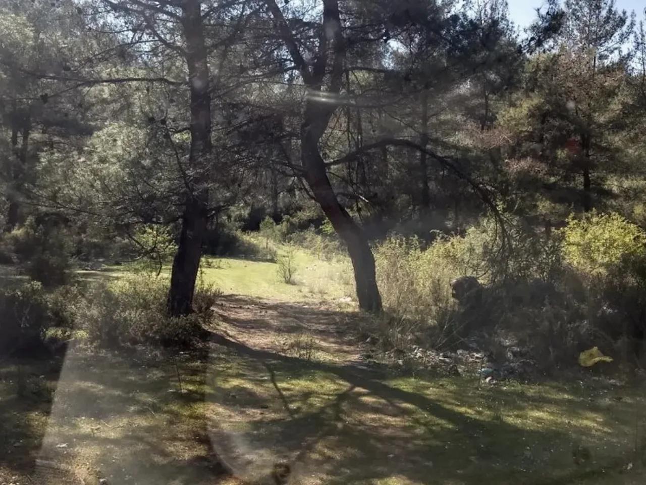 Muğla Bodrum Yolu - 1
