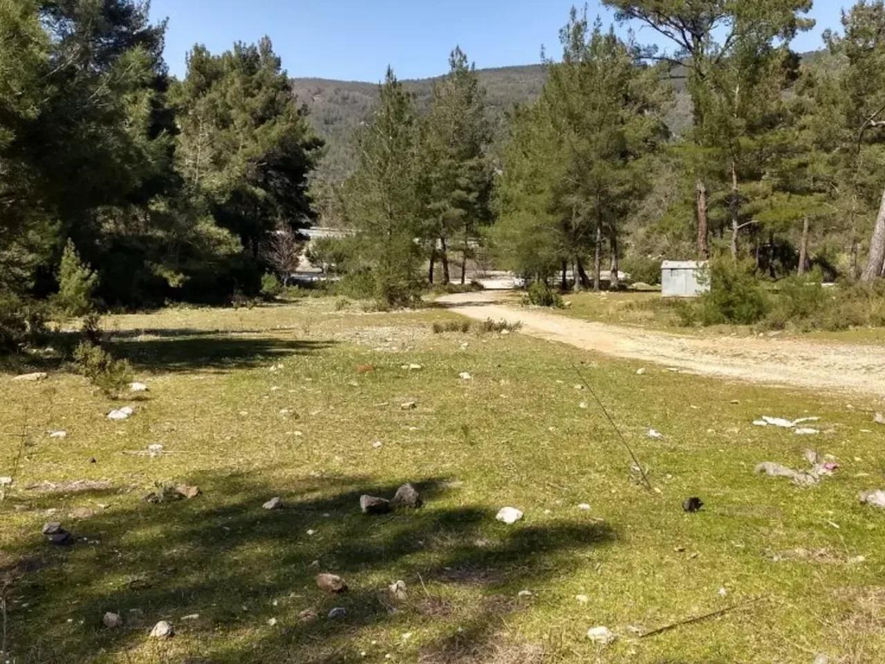 Muğla Bodrum Yolu - 2