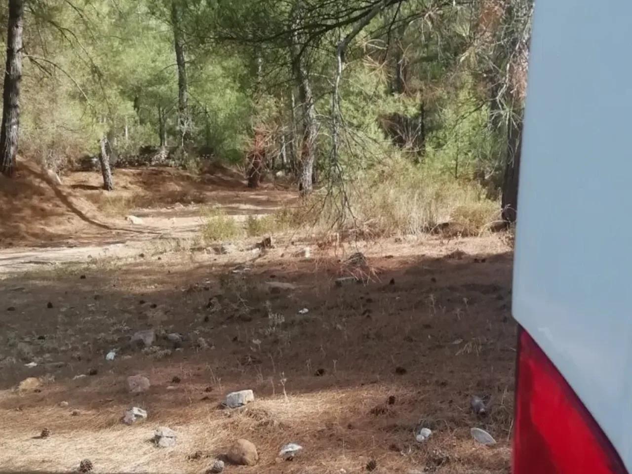 Muğla Bodrum Yolu - 3
