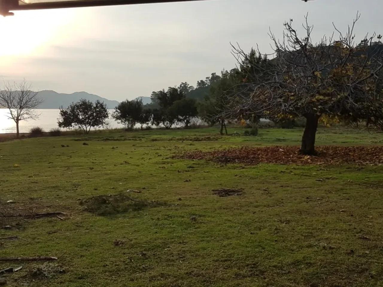 Muğla, - 1