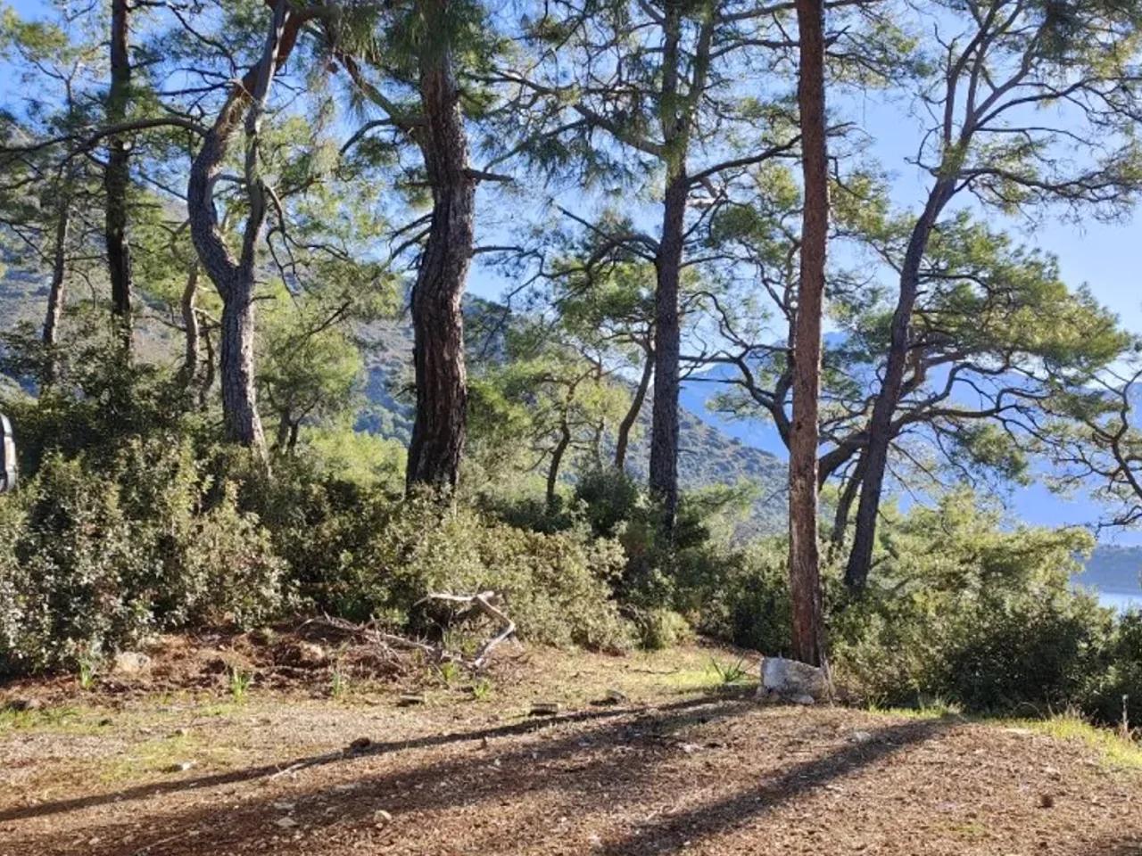 Muğla, - 1