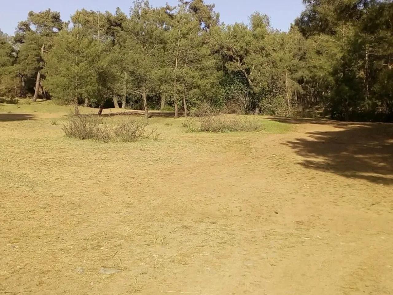 Muğla, - 1