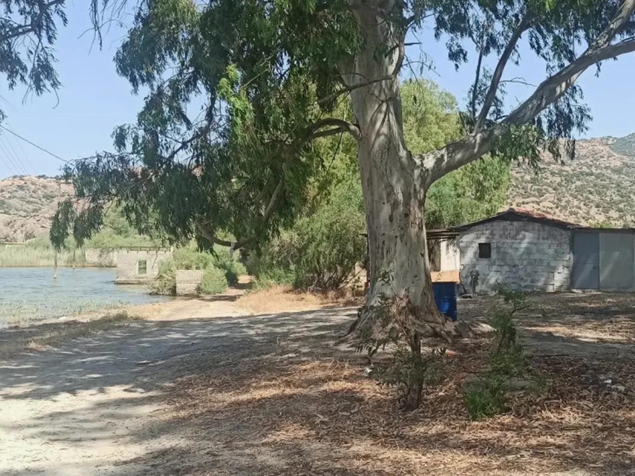 Muğla, - 2