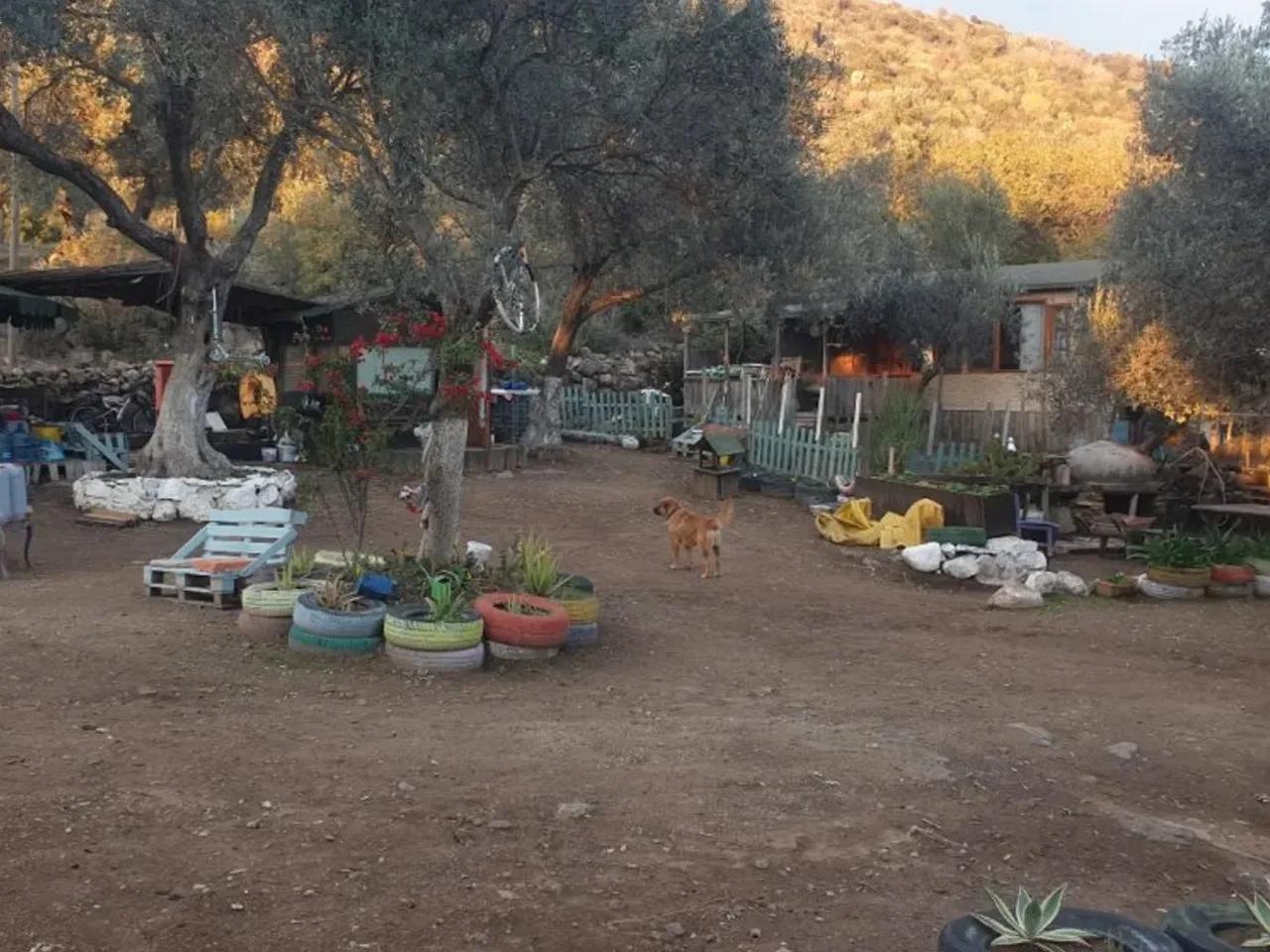 Muğla,Muğla Bodrum Yolu - 3