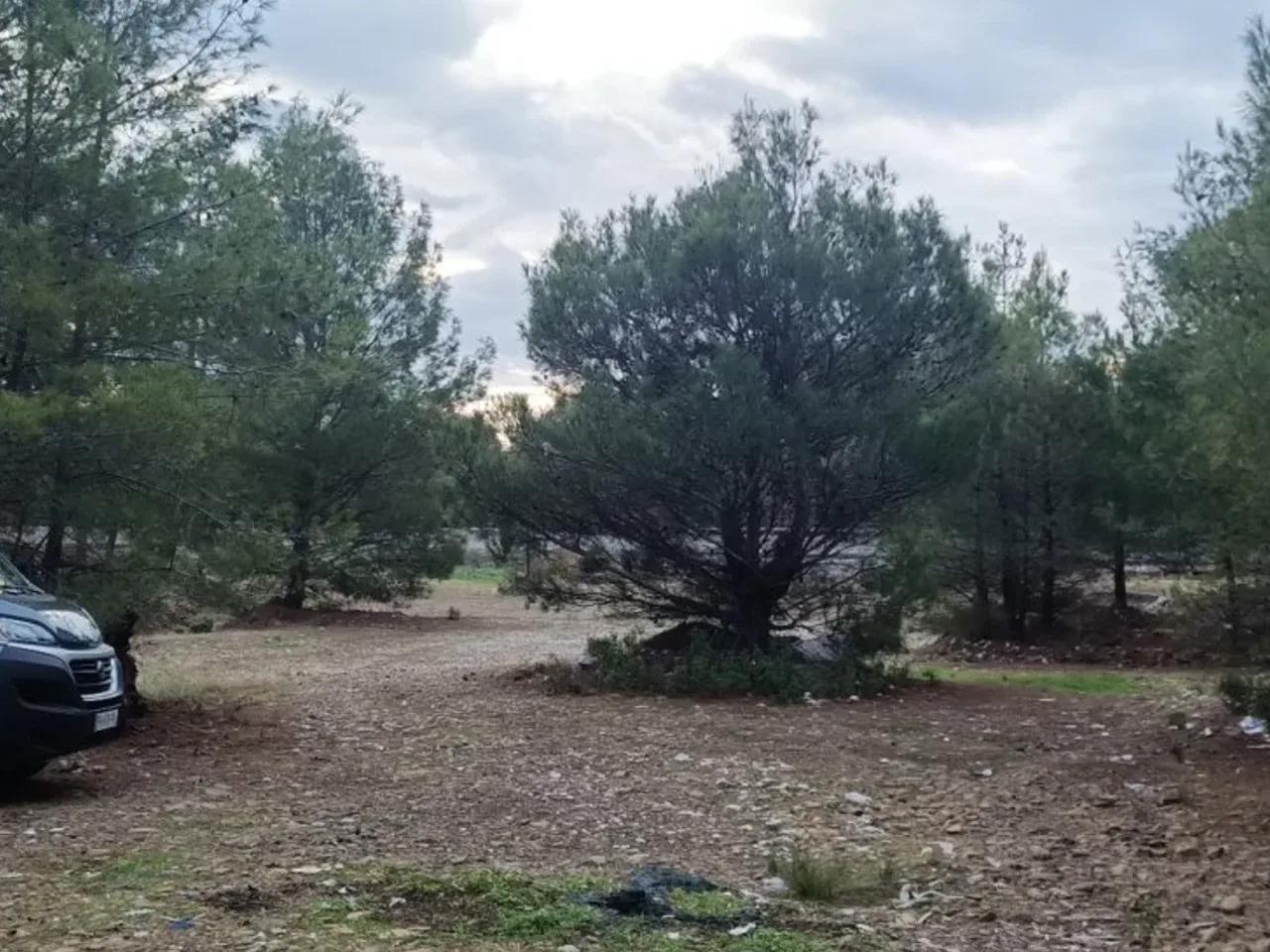 Muğla, Muğla Fethiye Yolu - 3