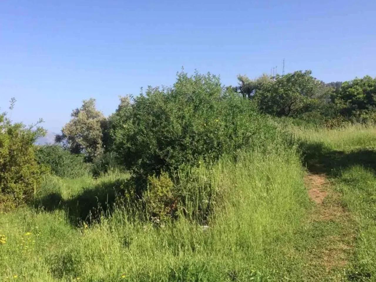 Muğla - 2