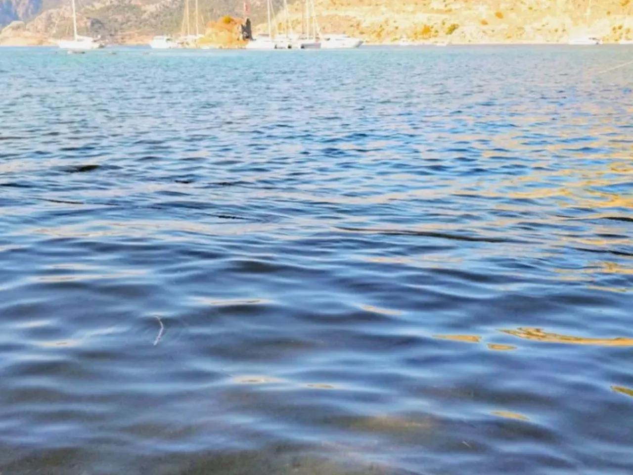 Muğla - 2
