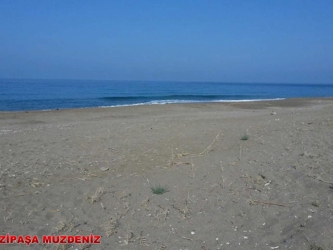 Muzdenizi Plajı - 4
