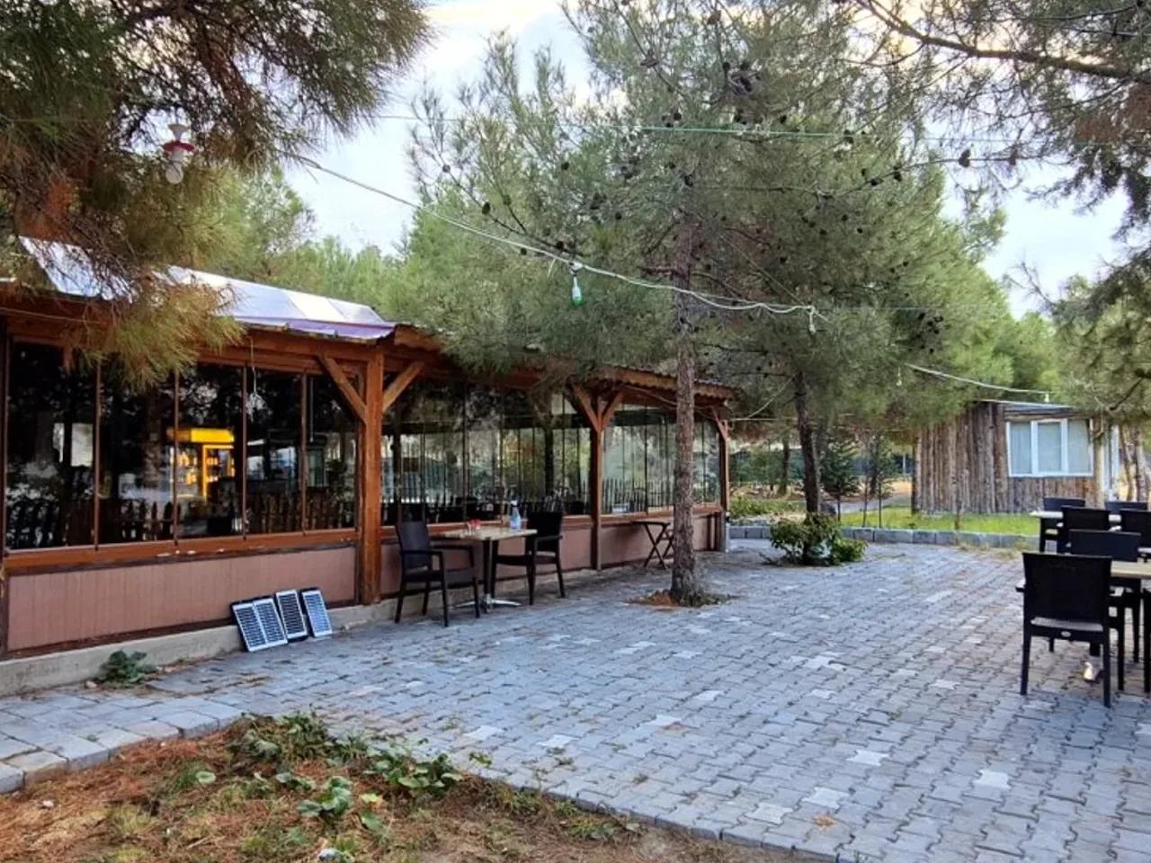 Nallıhan,Asım Ünal Sokak - 2