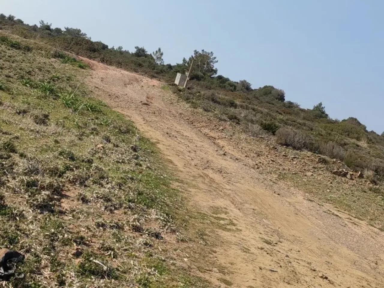 Namık Kemal, - 2