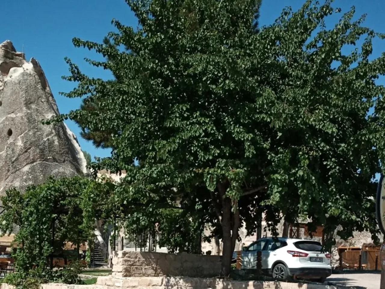 Nevsehir,26 Adnan Menderes Caddesi - 2