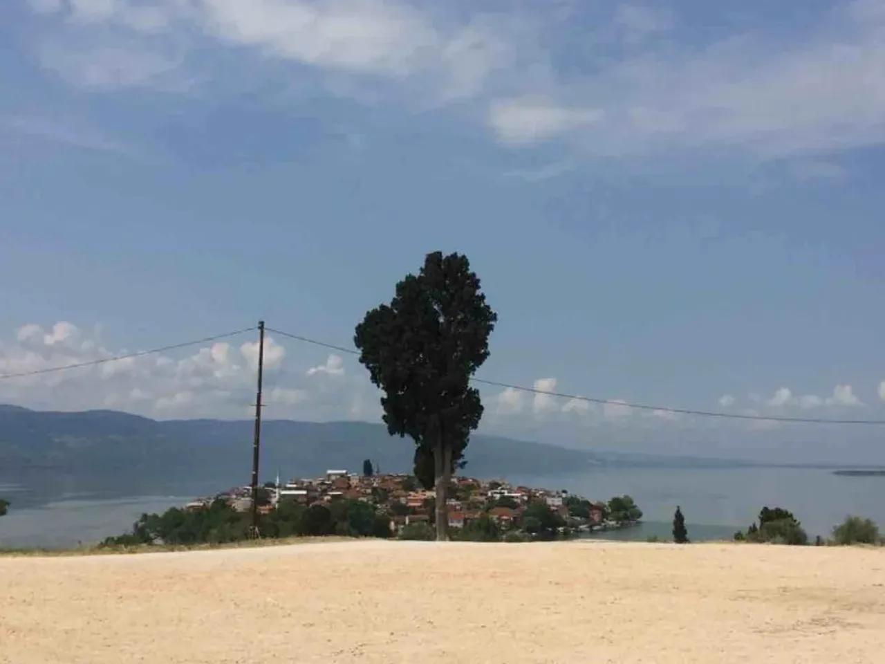 Nilüfer - 1