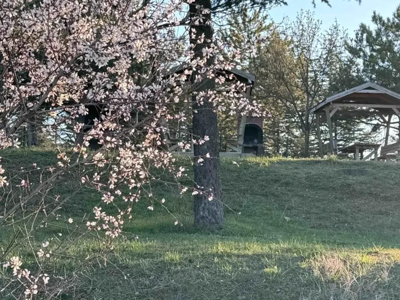 Odunpazarı,325. Sk. - 2