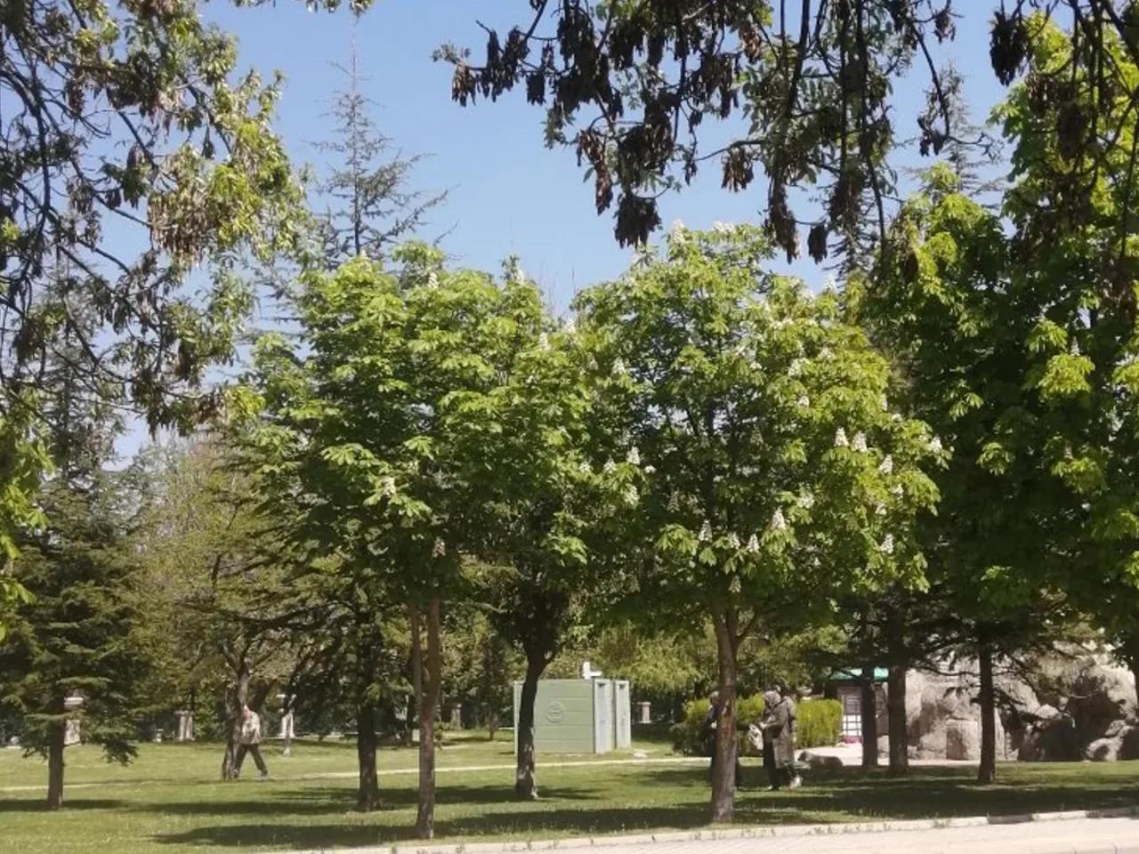 Odunpazarı,42 Ondokuz Mayıs Caddesi - 1