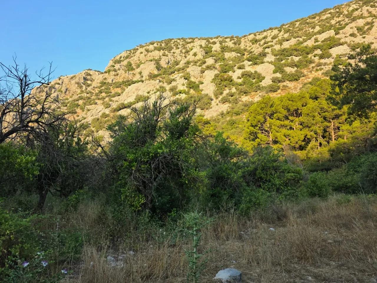 Olimpos Plajı - 2