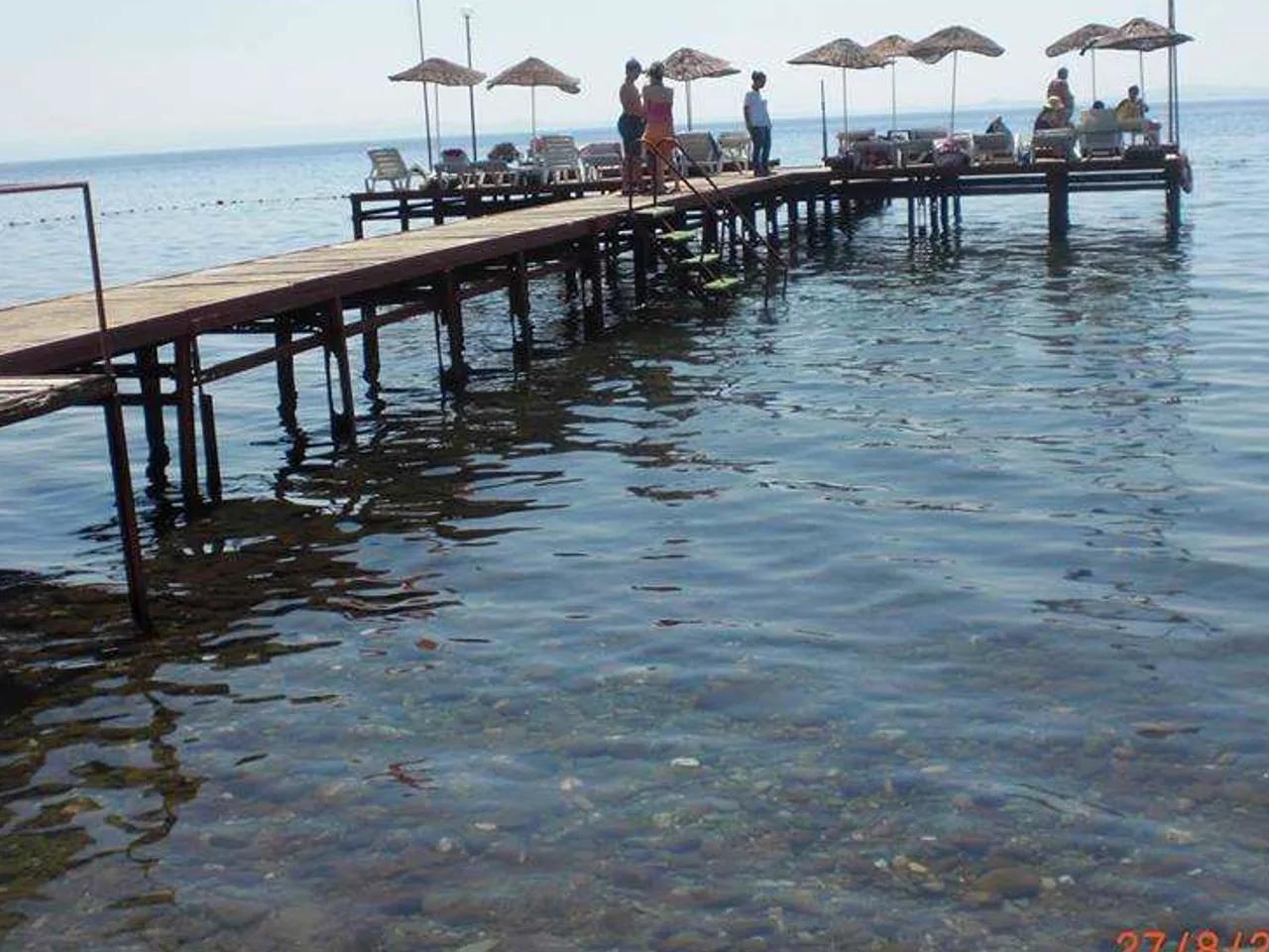Olive Odore Önü ve Ilıca Plajı - 3