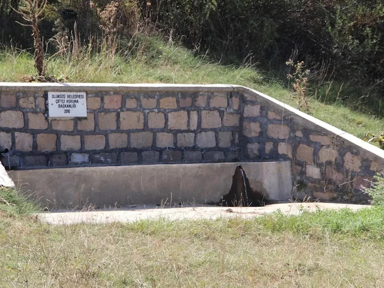 Oluközü Tabiat Parkı - 1