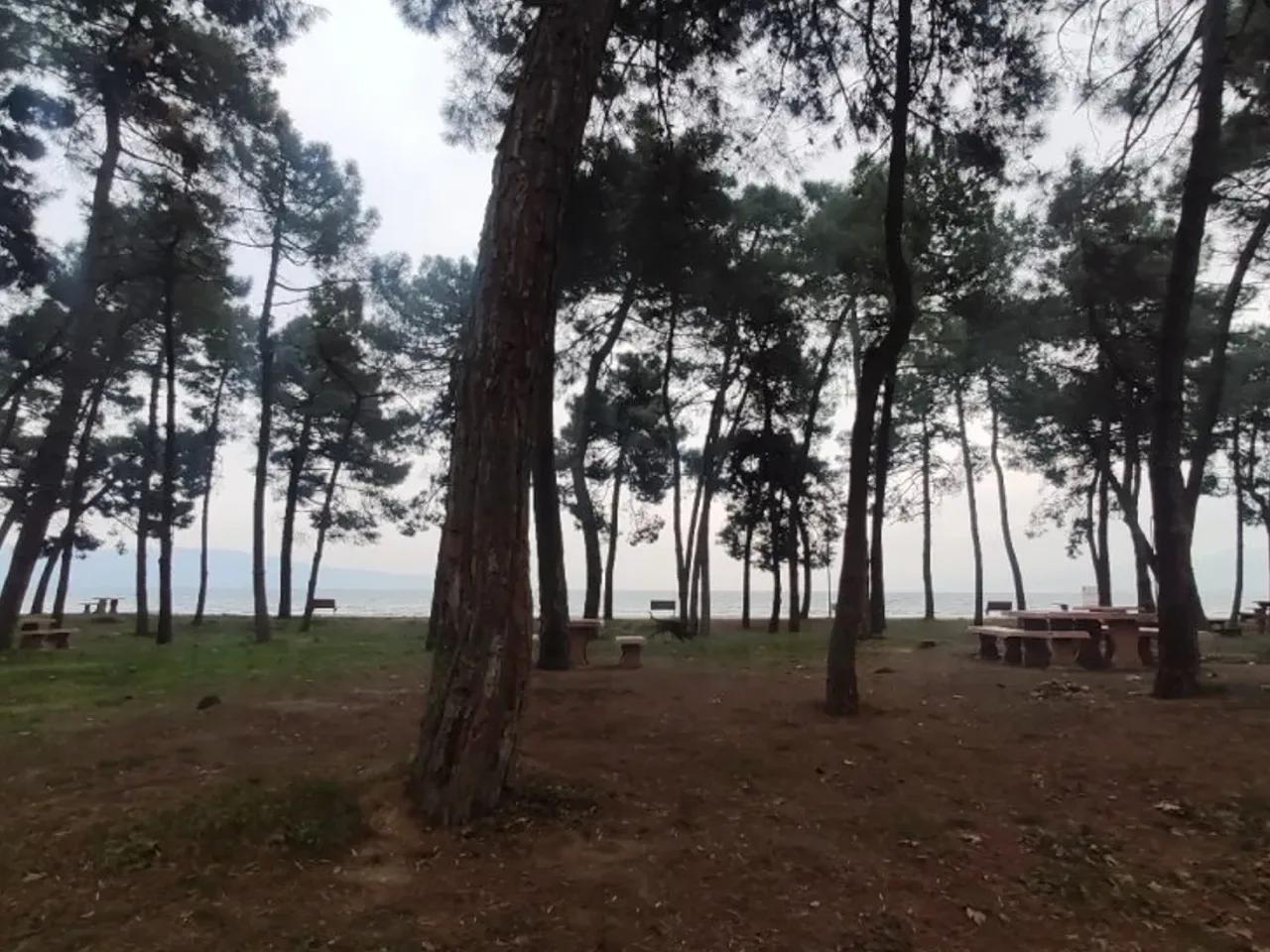 Orhangazi - 3