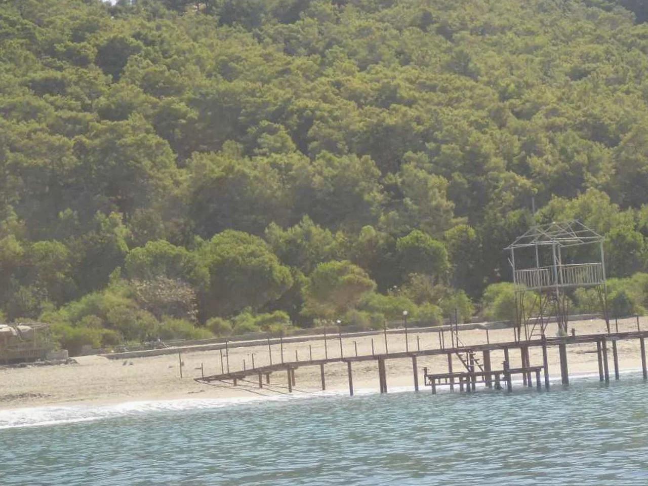 Orman İçi Dinlenme Tesisleri Plajı - 2