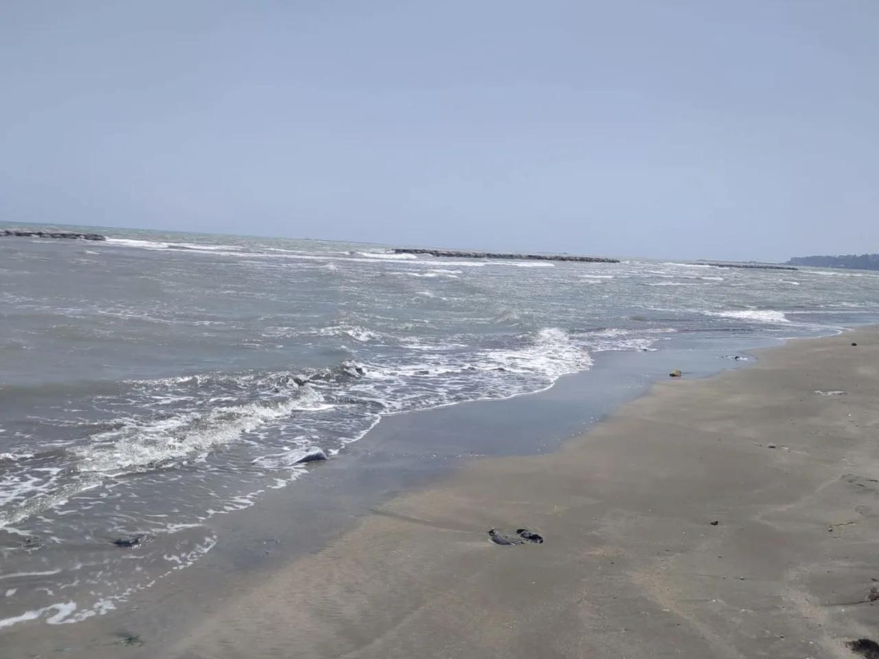 Orman İçi Halk Plajı