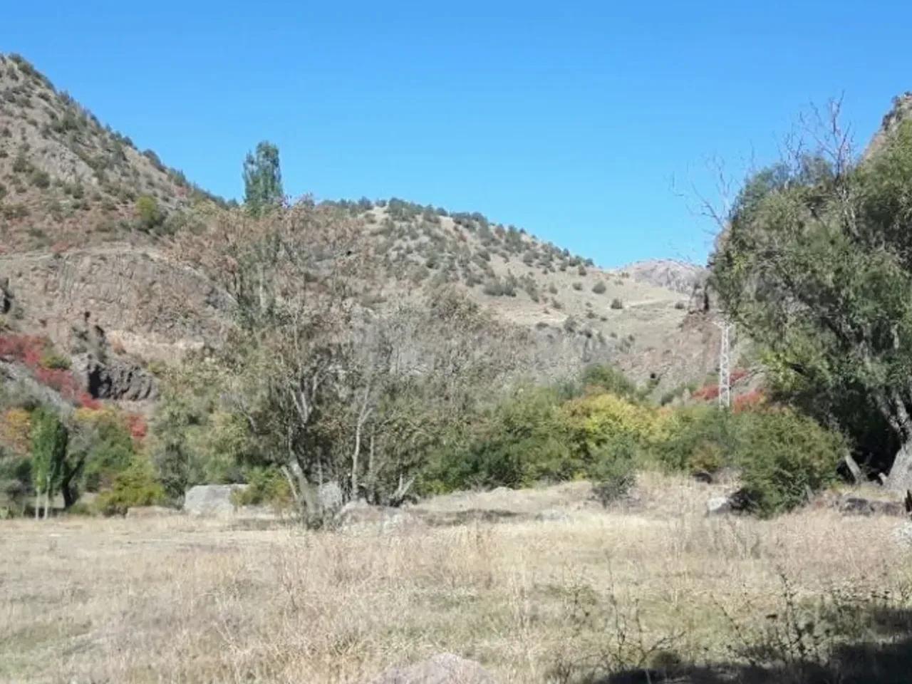 Ormanlı Yaylası - 2