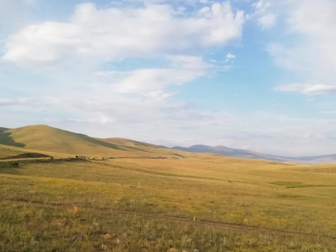 Ortahisar - 1