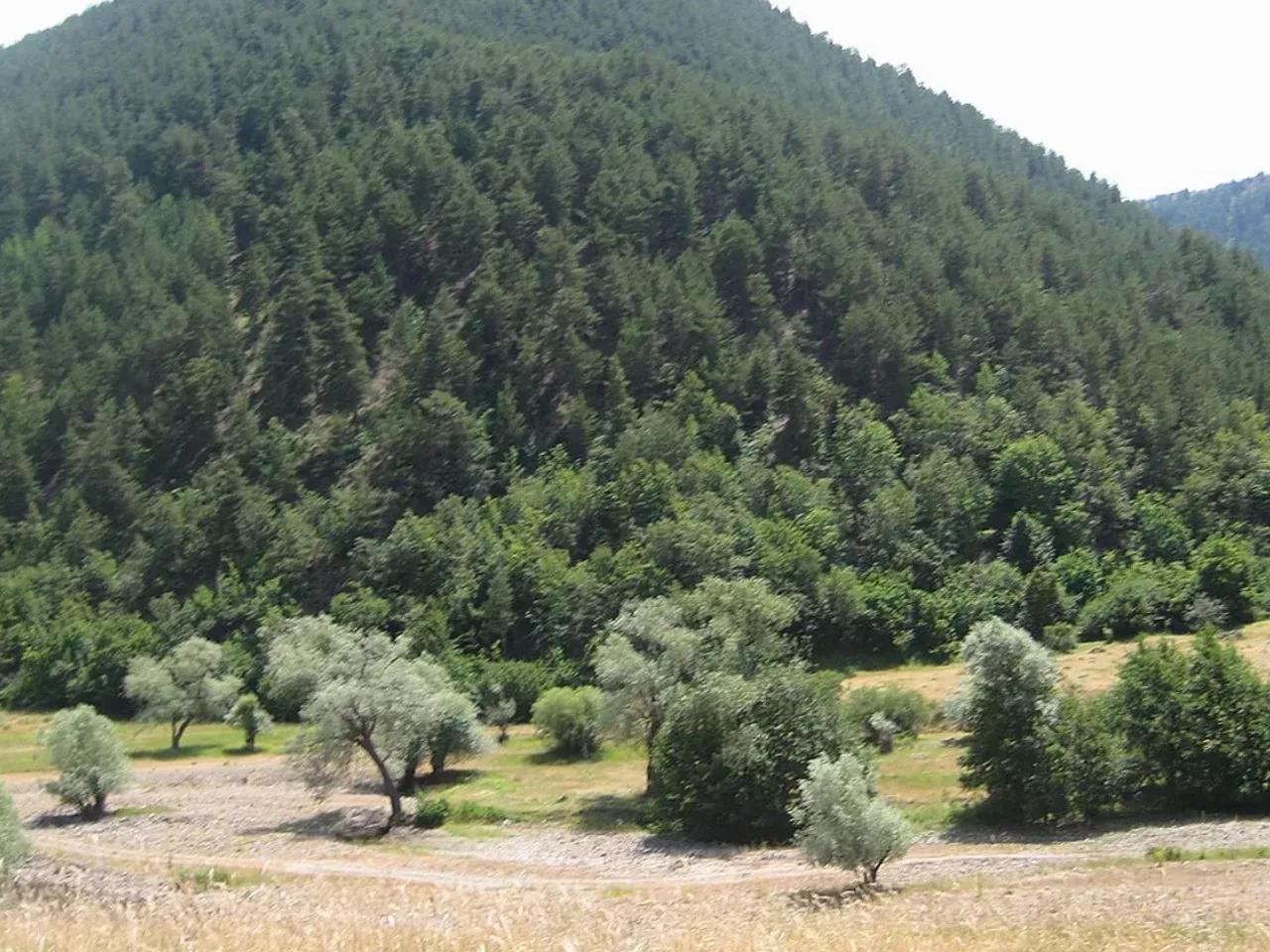 Oymalık Tabiat Parkı - 4