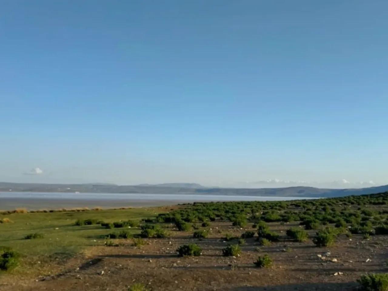 Palas, - 1
