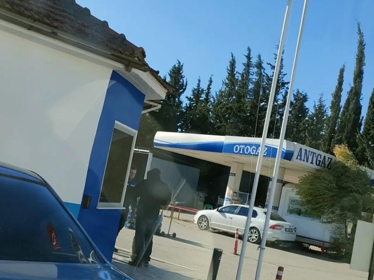 Palmiye Caddesi - 1