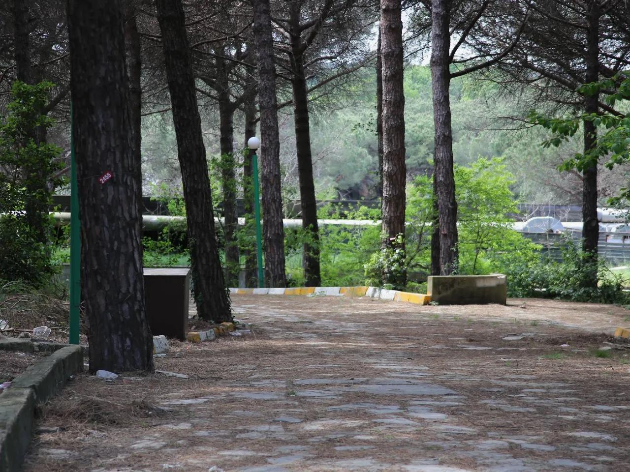 Park Orman Tabiat Parkı - 4