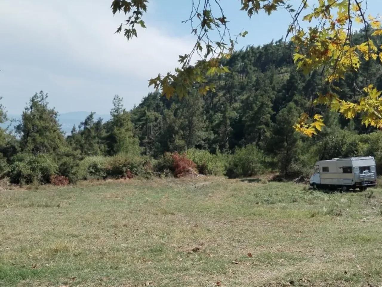 Pazarlı, - 1