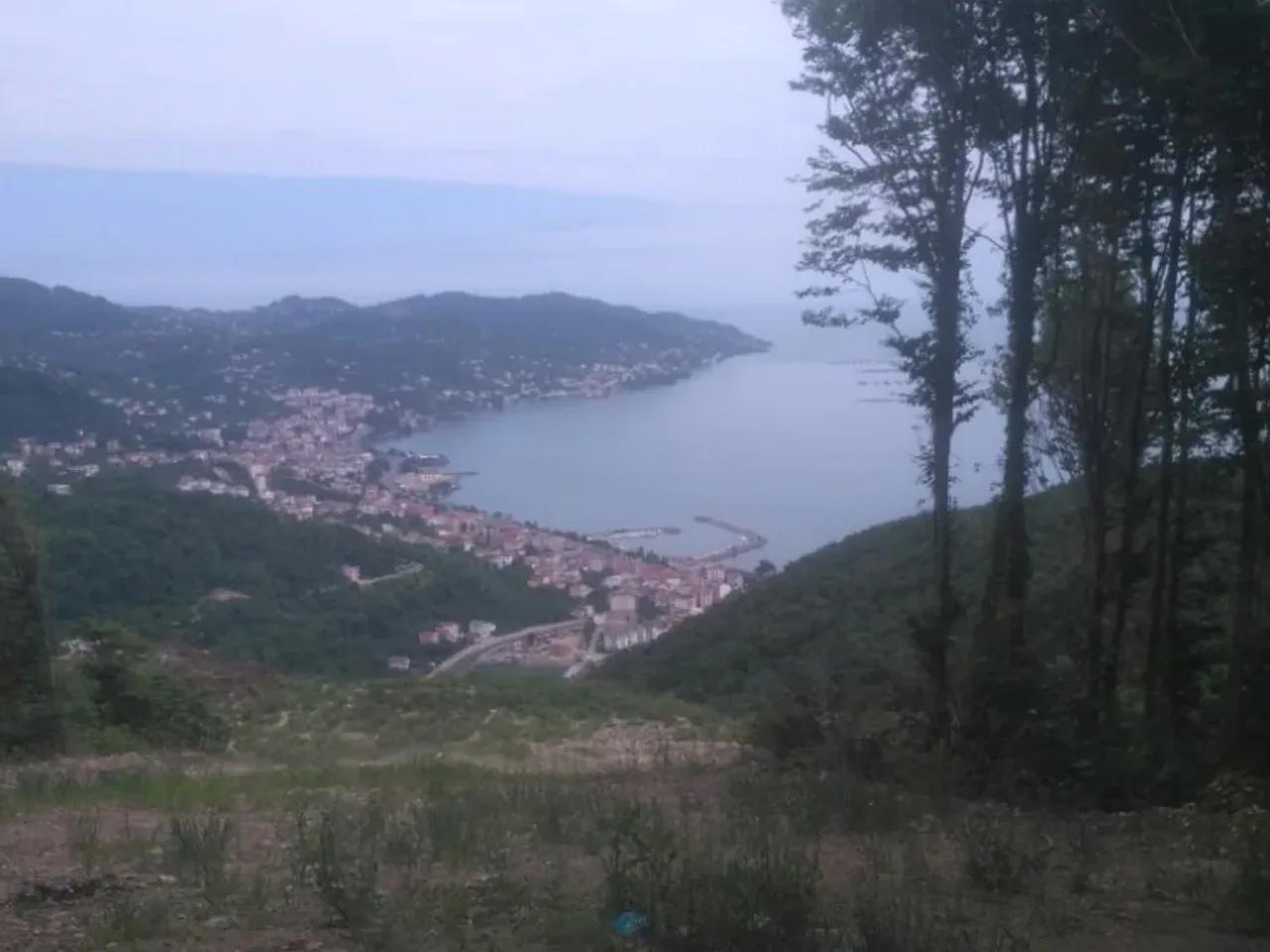 Perşembe, Alınca Köyü Yolu - 2