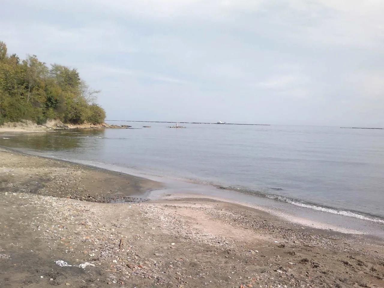 Perşembe Denizkabuğu Plajı - 3