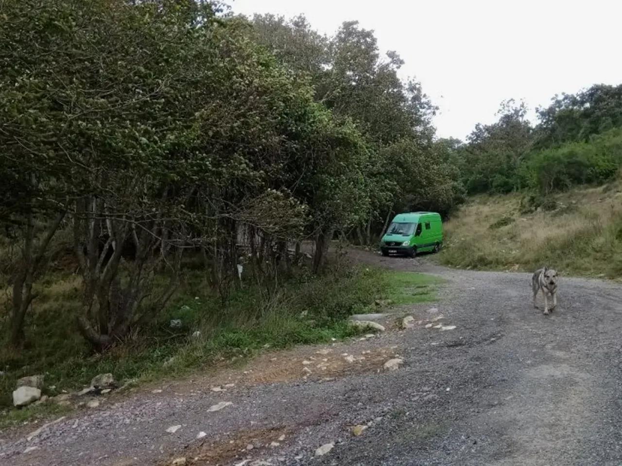 Pınarlı, - 1
