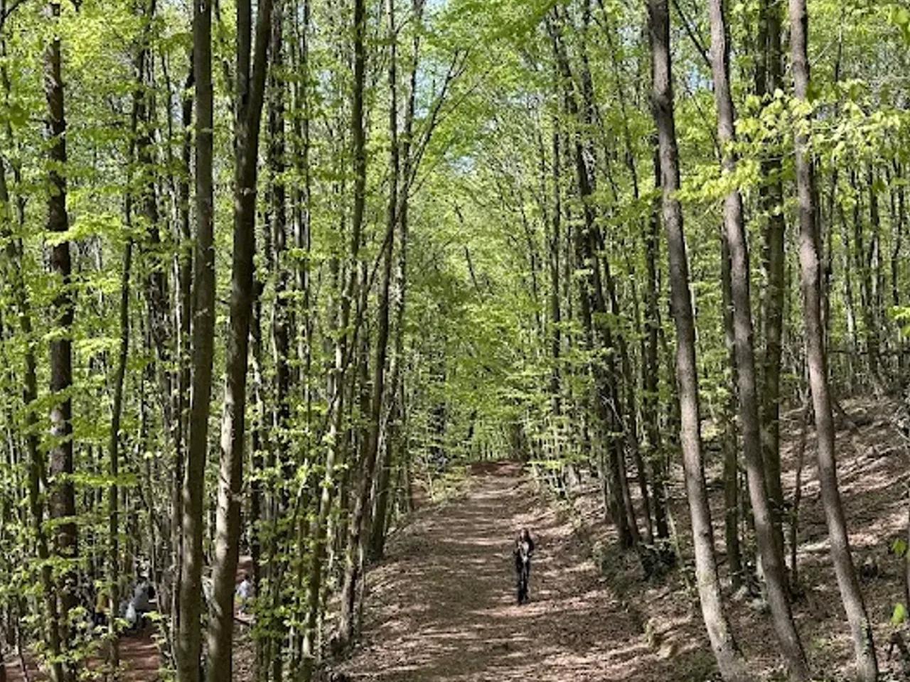 Polonezköy Tabiat Parkı