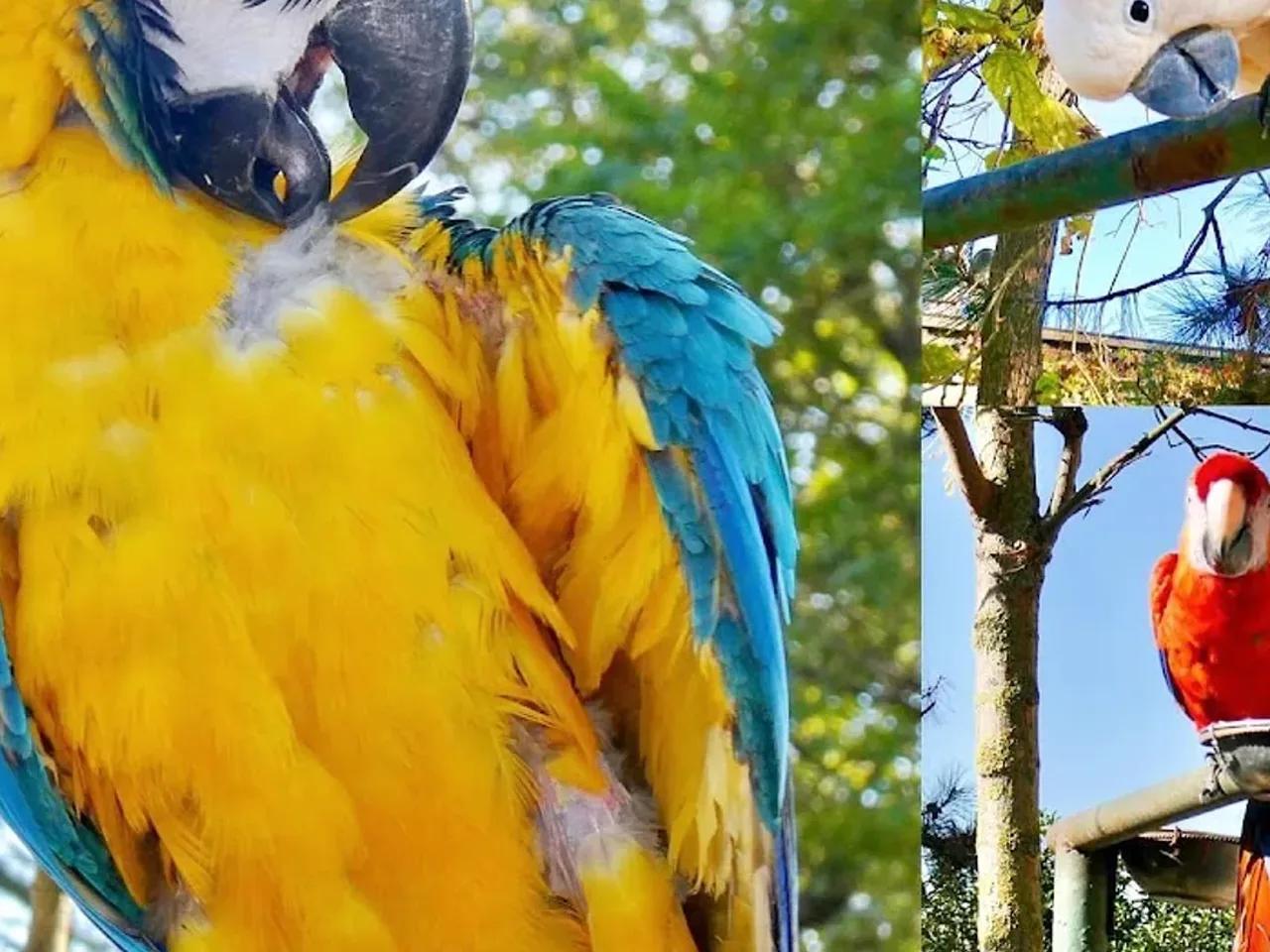 Polonezköy Tabiat Parkı - 4