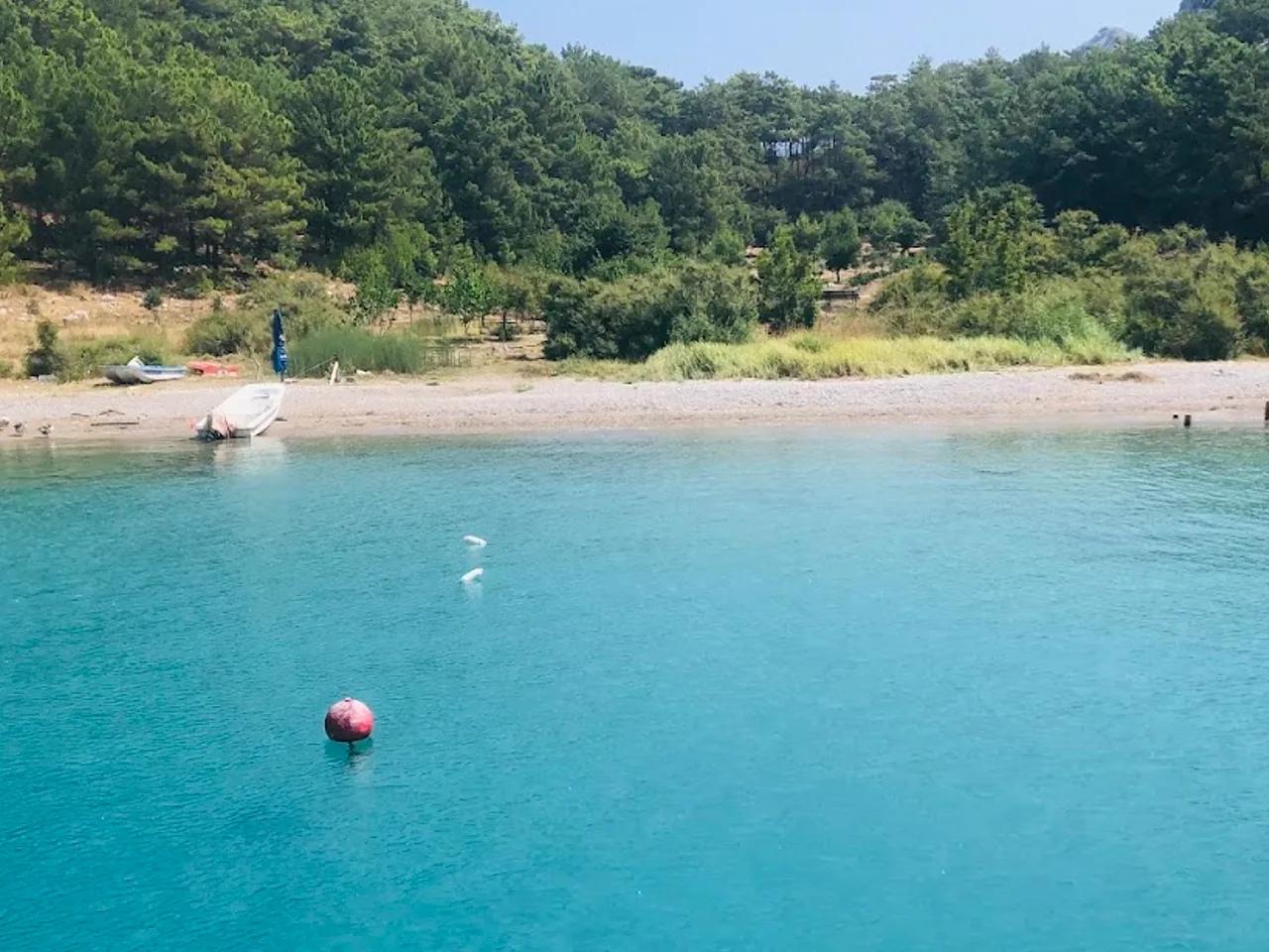 Porto Ceneviz Koyu - 1