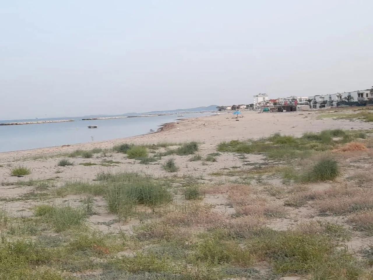 Profesörler Sitesi Plajı - 2