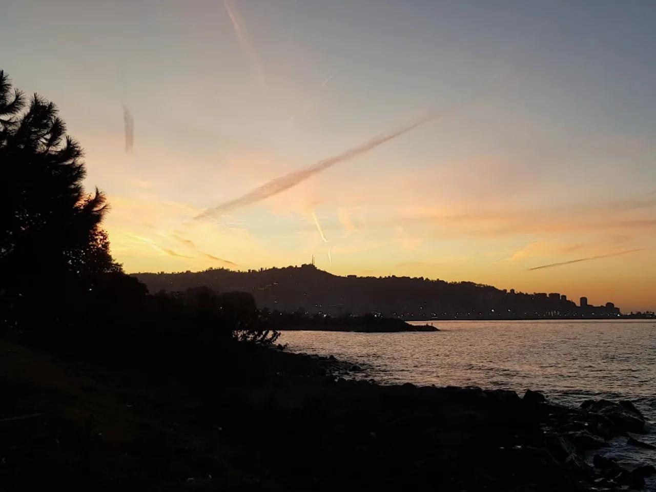 Rize Sahili - 1