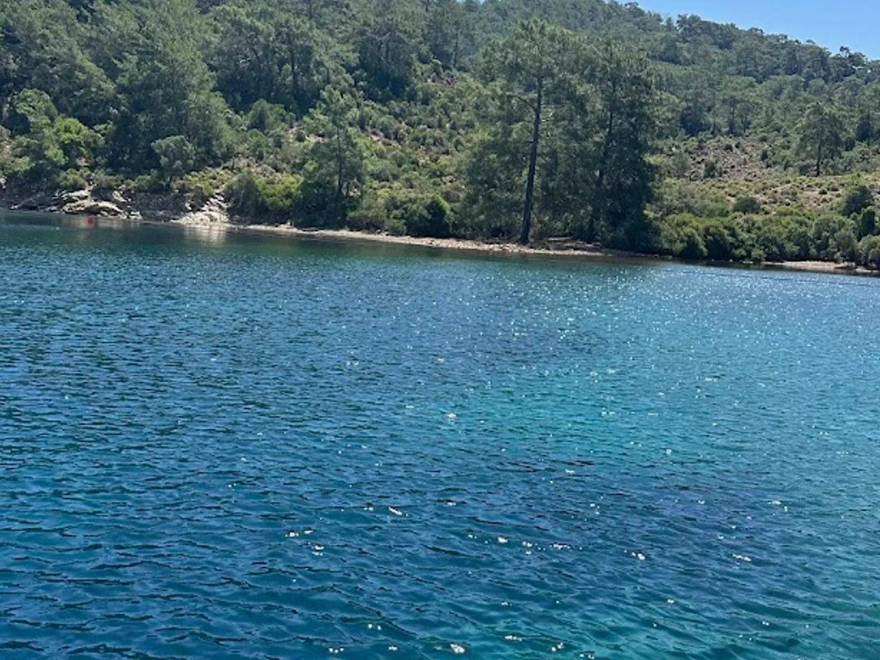 Rotasız Kaptan Koyu - 1