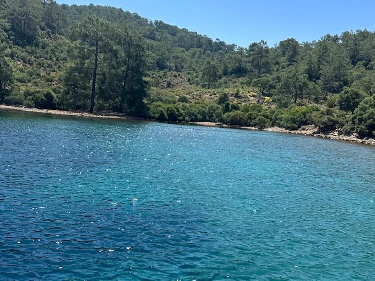 Rotasız Kaptan Koyu - 3