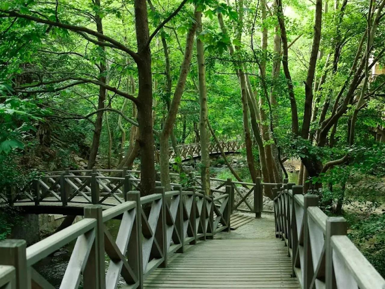 Sadağı Kanyonu Tabiat Parkı