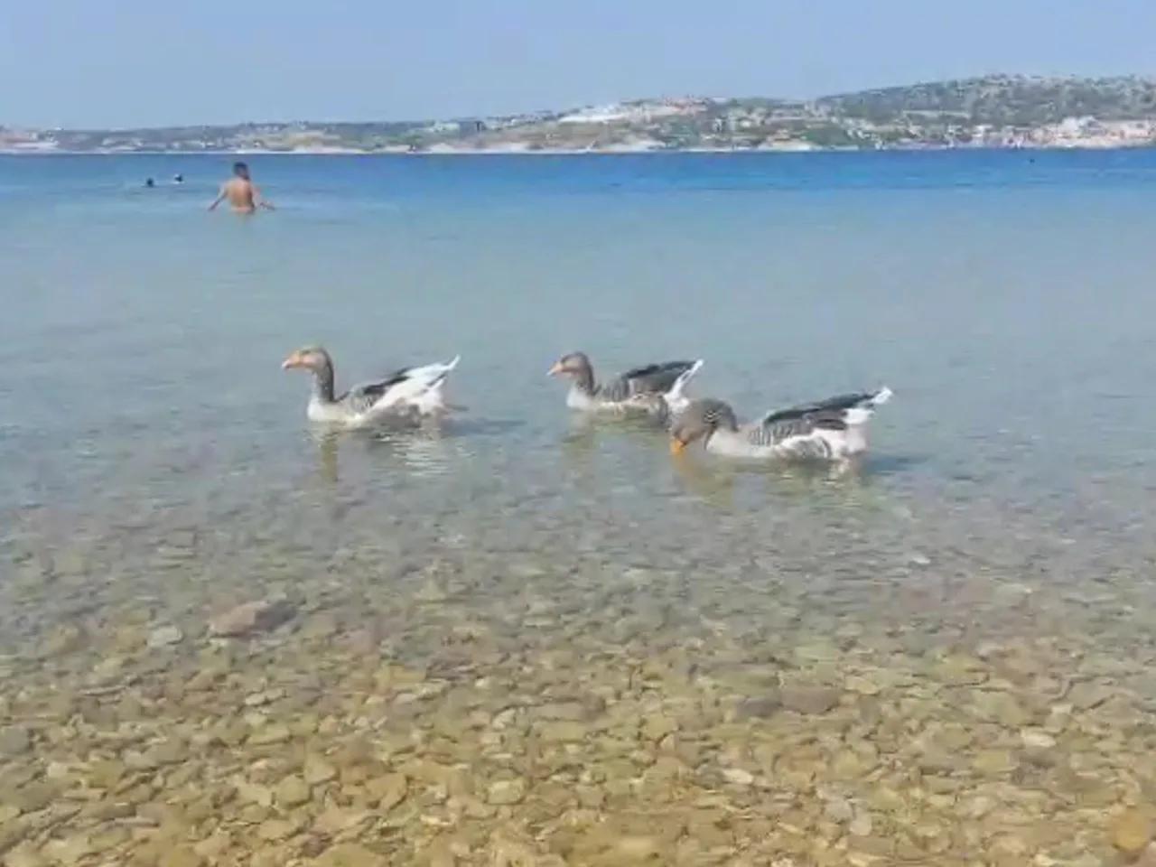 Sağlık Plajı - 3