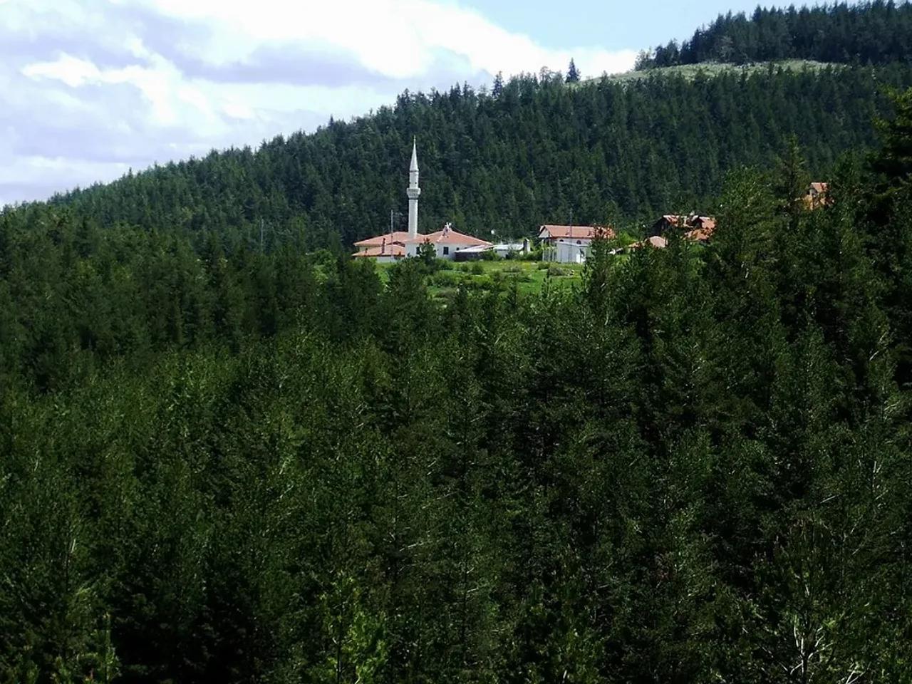 Şahinler Tabiat Parkı - 2