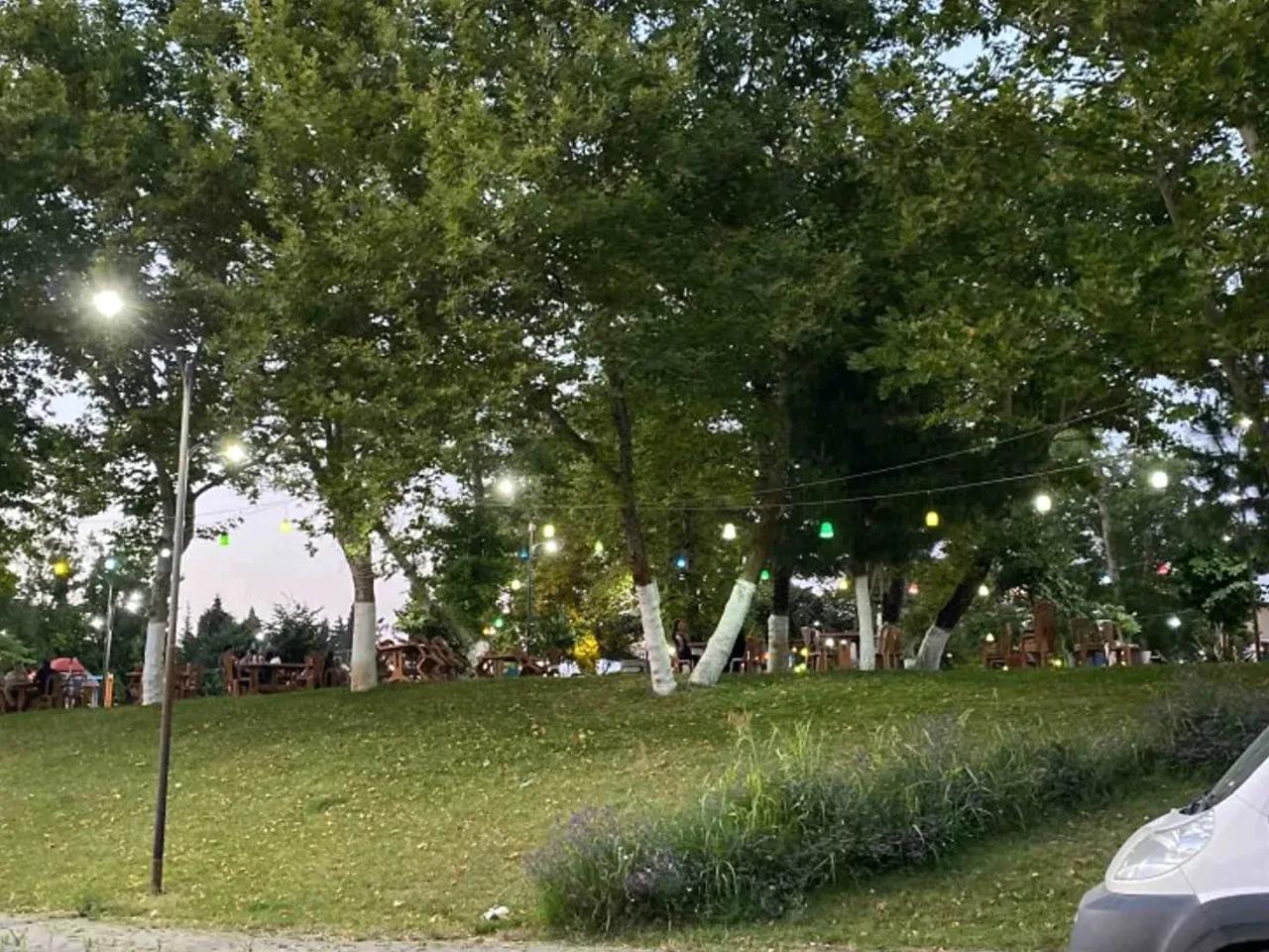 Sakarya,No:6/D Rafet Gürkaynak Caddesi - 1