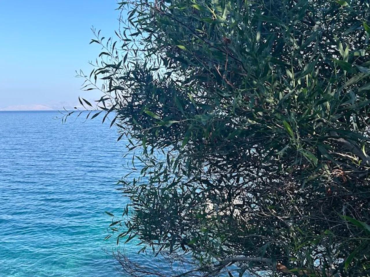 Saklıkoy (Meteoroloji Plajı) - 2