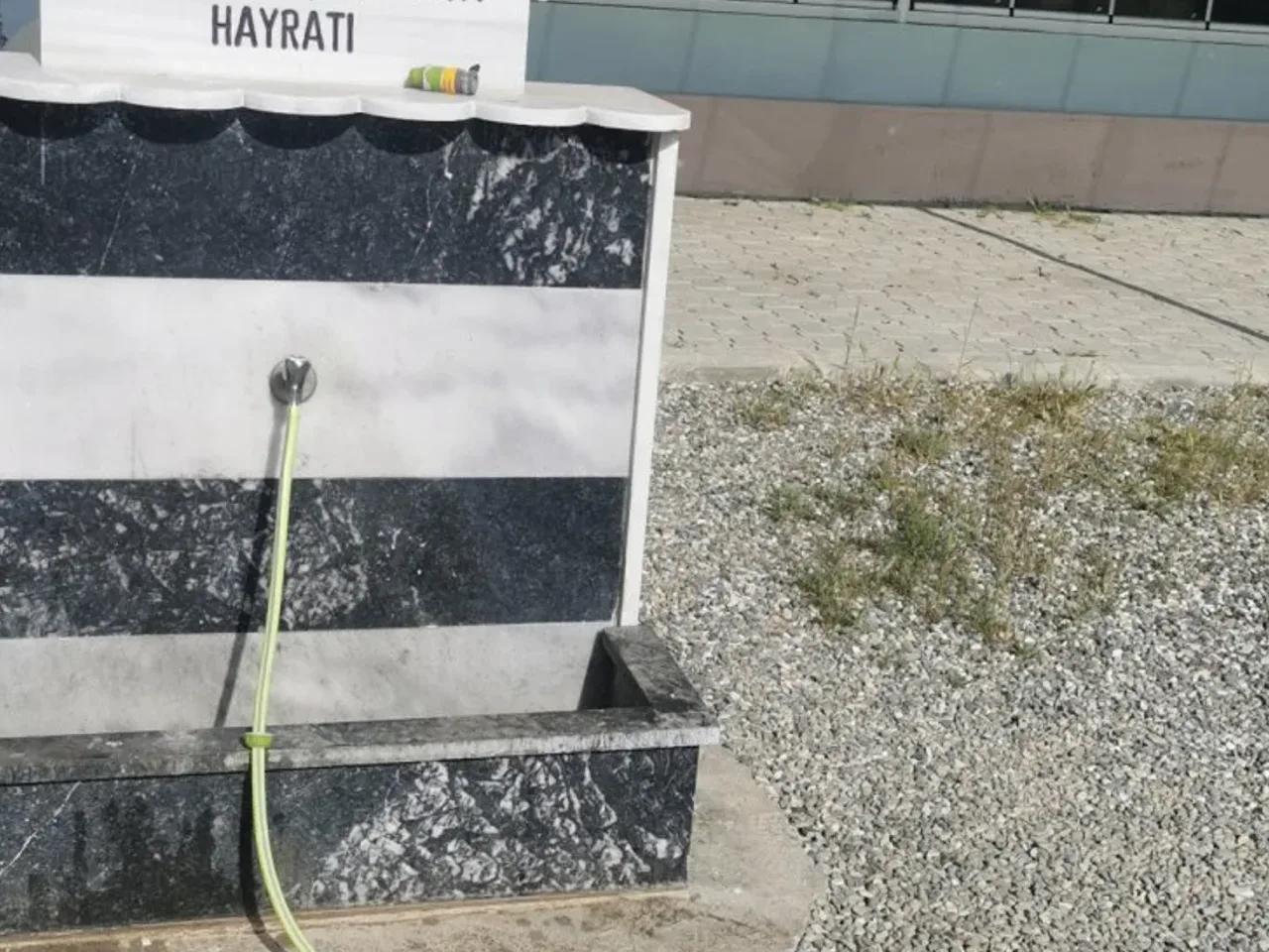 Salkımbağı, - 1