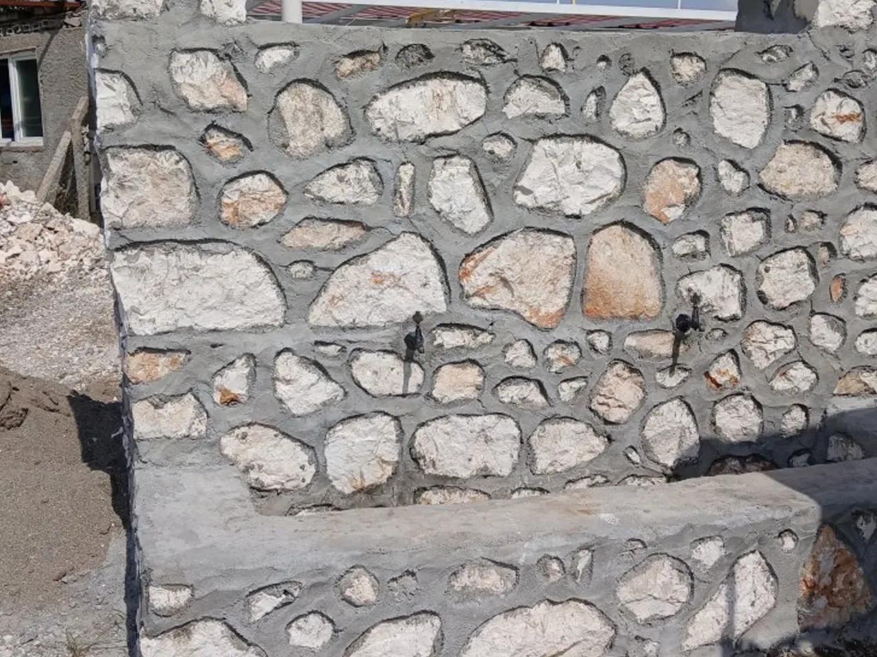 Salkımbağı, - 2